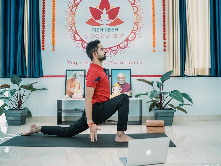 200  hour online yoga teacher training course